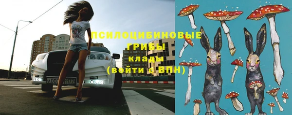 марки nbome Бородино