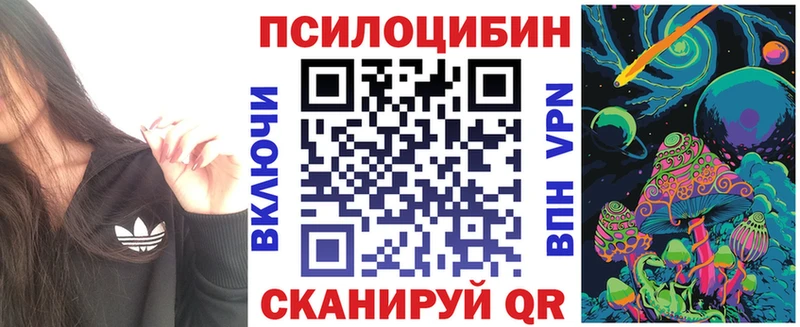 где купить наркоту  Грязи  Галлюциногенные грибы прущие грибы 